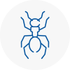 Ant Removals In Swindon